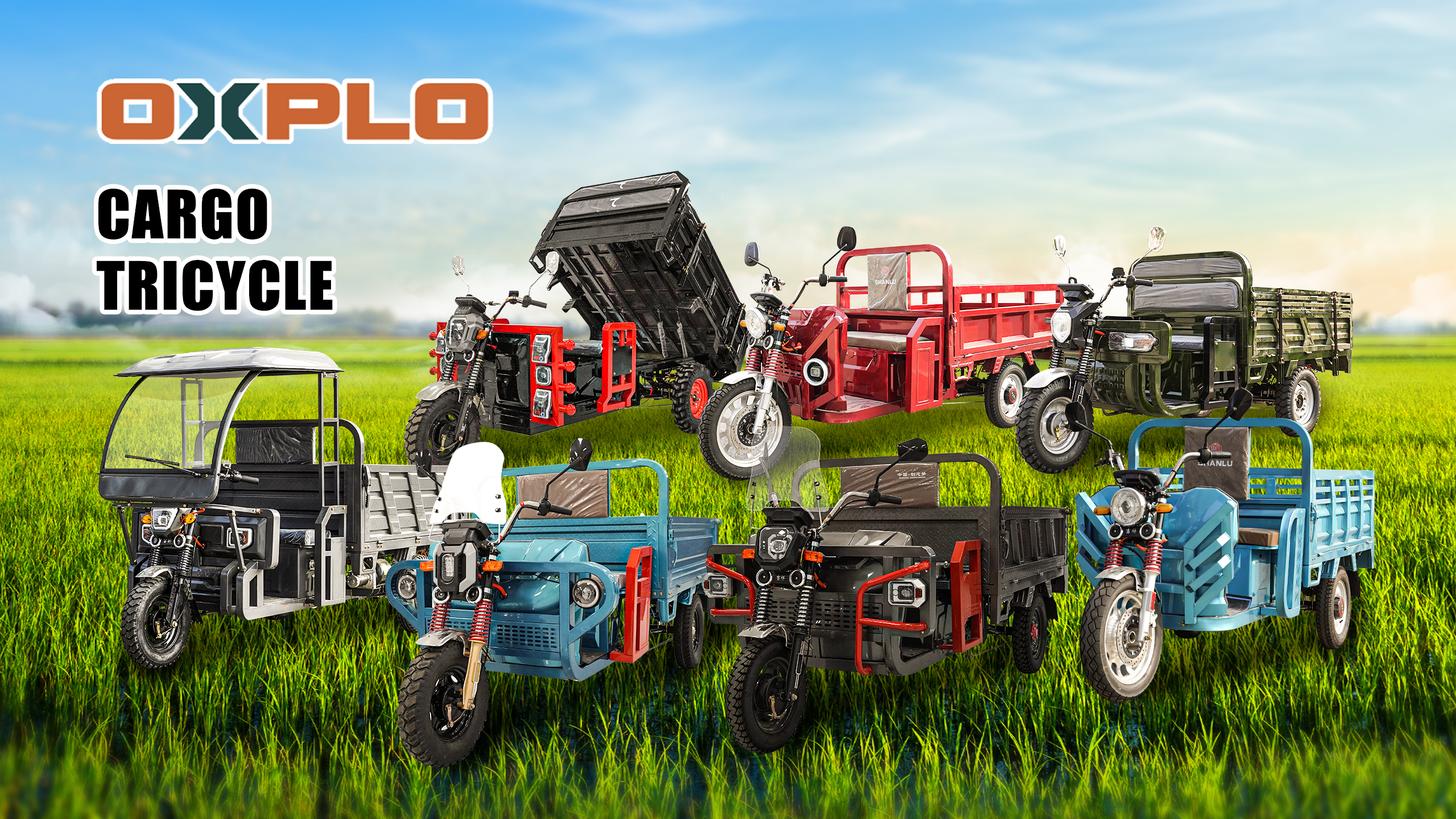 Tricycle cargo