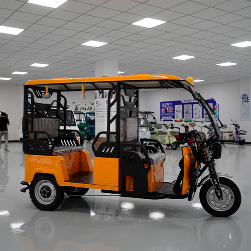Tricycle électrique à 3 roues OX500C2